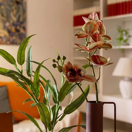 Iflat Vatican Comfortable & Peaceful Retreat * Rome